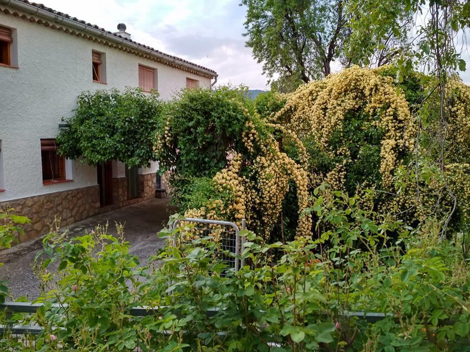 Mesoncillo Neo Villa Hornos Eksteriør billede